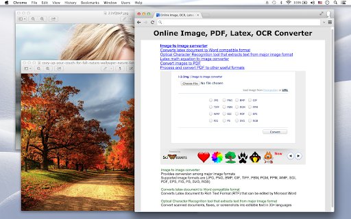 Image, OCR Converter  from Chrome web store to be run with OffiDocs Chromium online