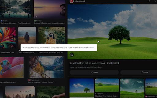 Images Alt Text Generator  from Chrome web store to be run with OffiDocs Chromium online