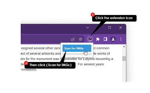 Image Slideshow  from Chrome web store to be run with OffiDocs Chromium online