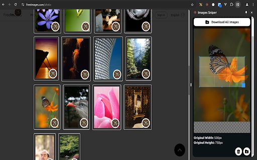Images Sniper  from Chrome web store to be run with OffiDocs Chromium online
