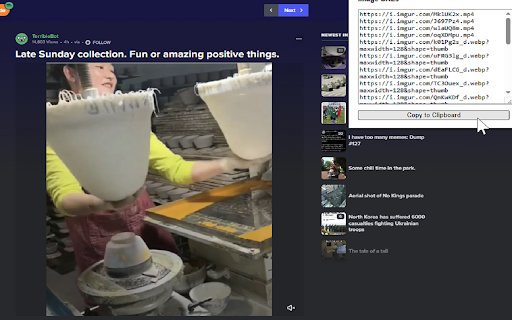 Imgur Album Image Extractor  from Chrome web store to be run with OffiDocs Chromium online