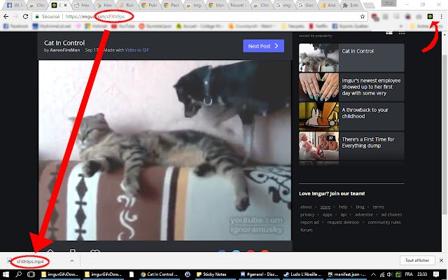 Imgur Gifv as MP4 Downloader  from Chrome web store to be run with OffiDocs Chromium online