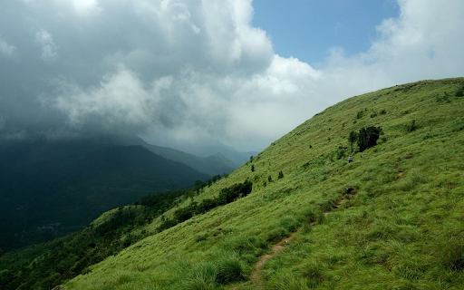 Immense green hills from Chrome web store to be run with OffiDocs Chromium online Immense green hills from Chrome web store to be run with OffiDocs Chromium online