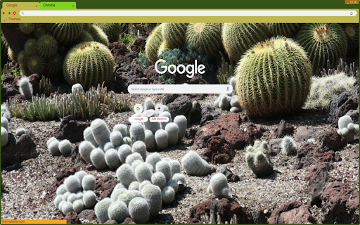 Immortal cactus  from Chrome web store to be run with OffiDocs Chromium online