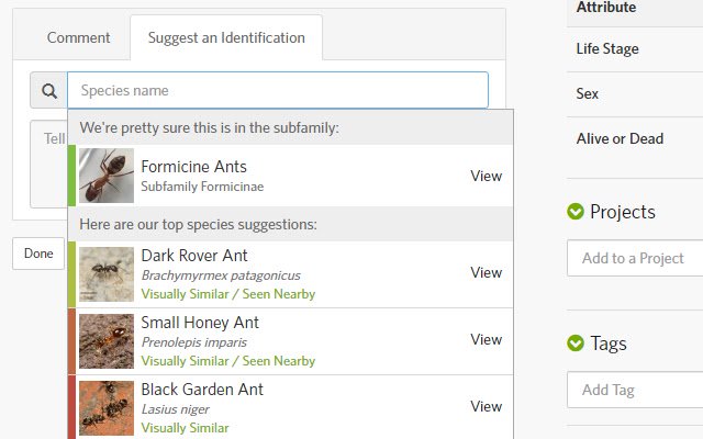 iNaturalist Enhancement Suite  from Chrome web store to be run with OffiDocs Chromium online