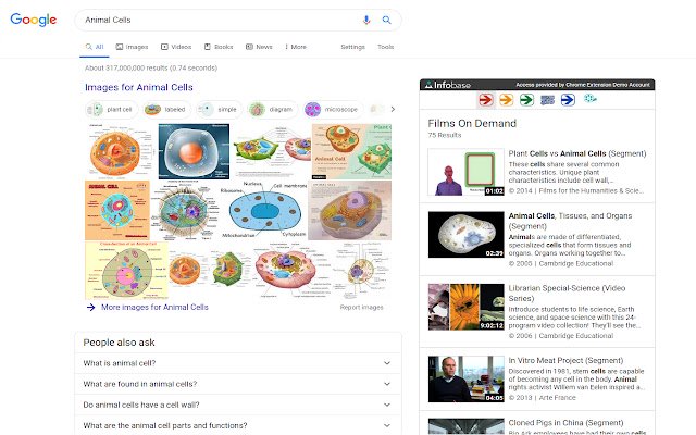 Infobase  from Chrome web store to be run with OffiDocs Chromium online