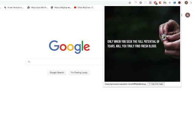 Chrome ウェブストアの Inspirobot #1 Fan Extension を OffiDocs Chromium オンラインで実行