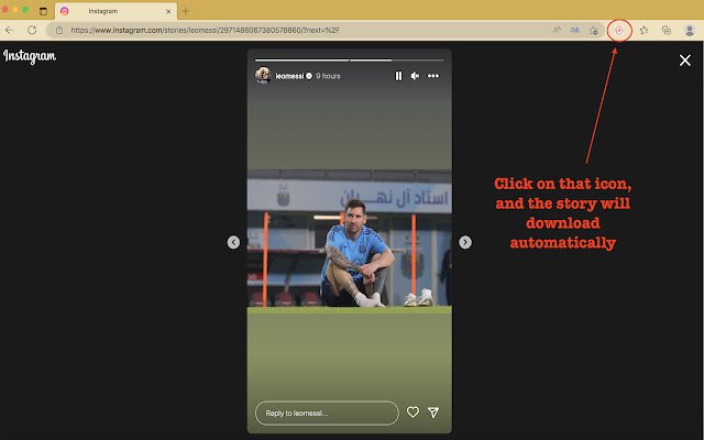 InstaDP-verhalen uit de Chrome-webwinkel om te worden uitgevoerd met OffiDocs Chromium online