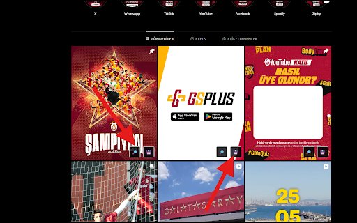 Instagram Image Opener  from Chrome web store to be run with OffiDocs Chromium online