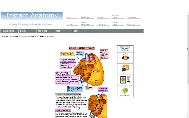 Instant Anatomy dal negozio web di Chrome può essere eseguito con OffiDocs Chromium online