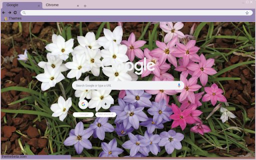 Ipheion  from Chrome web store to be run with OffiDocs Chromium online
