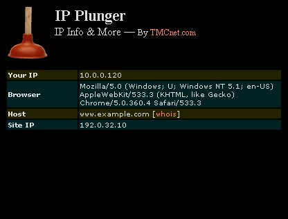 IP Plunger  from Chrome web store to be run with OffiDocs Chromium online