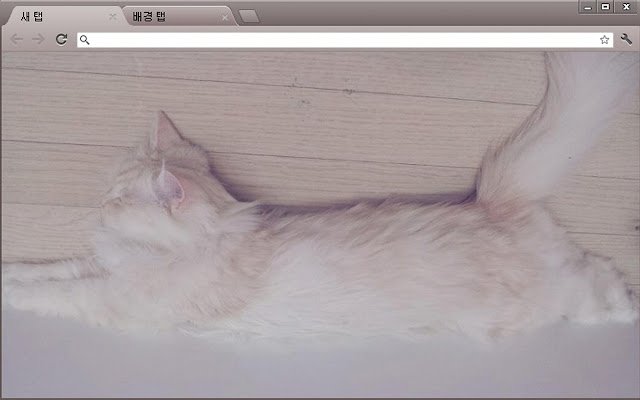Is this a cat or cotton candy  from Chrome web store to be run with OffiDocs Chromium online