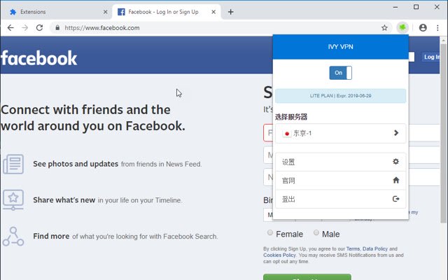 IvyVPN  from Chrome web store to be run with OffiDocs Chromium online