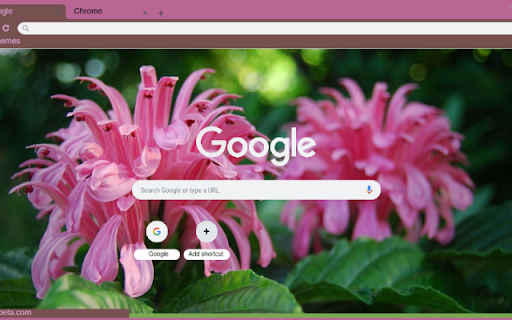 Jacobinia  from Chrome web store to be run with OffiDocs Chromium online