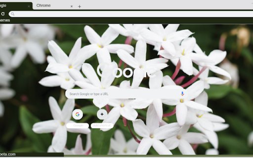 Jasmine  from Chrome web store to be run with OffiDocs Chromium online