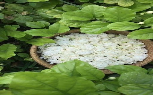Jasmine basket wallpaper  from Chrome web store to be run with OffiDocs Chromium online