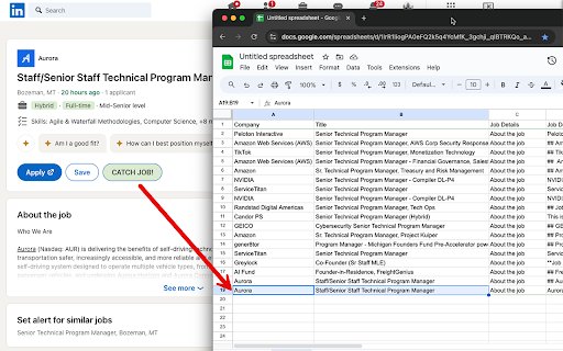 Job Catcher BETA  from Chrome web store to be run with OffiDocs Chromium online