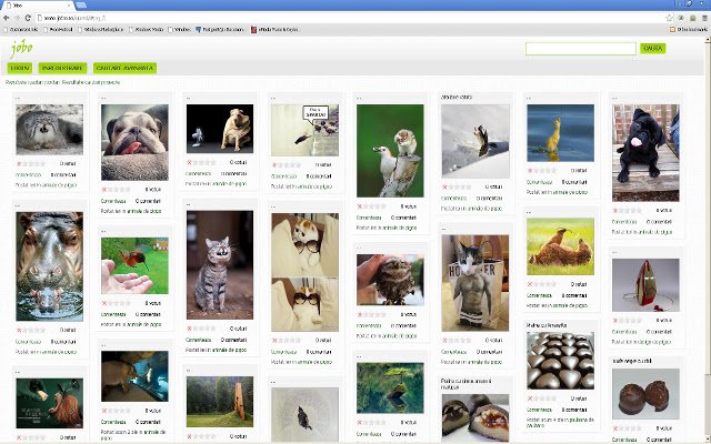 @jobo.ro  from Chrome web store to be run with OffiDocs Chromium online