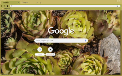Jovibarba  from Chrome web store to be run with OffiDocs Chromium online