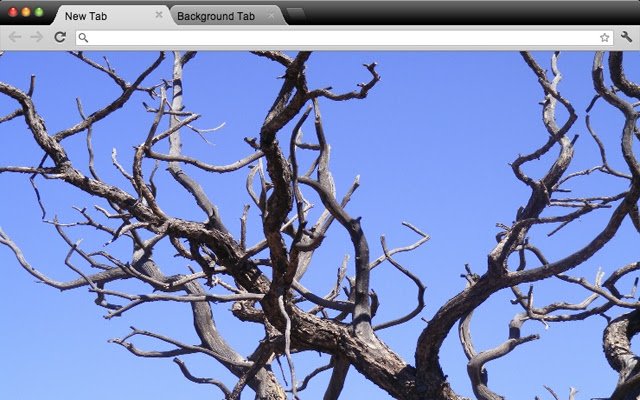 Juniper Theme from Chrome web store to be run with OffiDocs Chromium online Juniper Theme from Chrome web store to be run with OffiDocs Chromium online