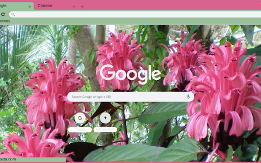 Justice Plant  from Chrome web store to be run with OffiDocs Chromium online