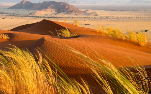 Kalahari Desert  from Chrome web store to be run with OffiDocs Chromium online