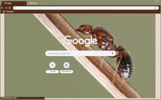 Kien Do  from Chrome web store to be run with OffiDocs Chromium online