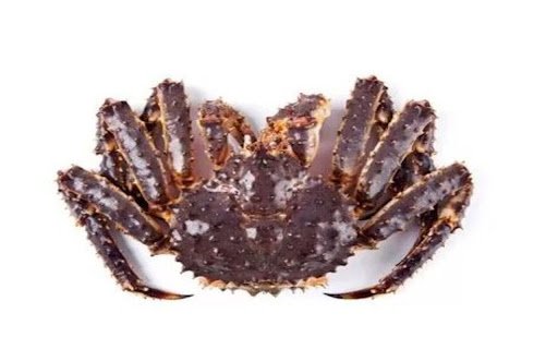 king crab wallpaper  from Chrome web store to be run with OffiDocs Chromium online