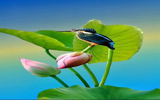 Kingfisher wallpaper  from Chrome web store to be run with OffiDocs Chromium online