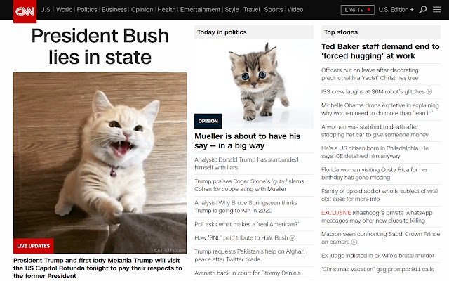 Kitten Around!  from Chrome web store to be run with OffiDocs Chromium online