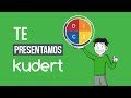 Kudert plugin  from Chrome web store to be run with OffiDocs Chromium online