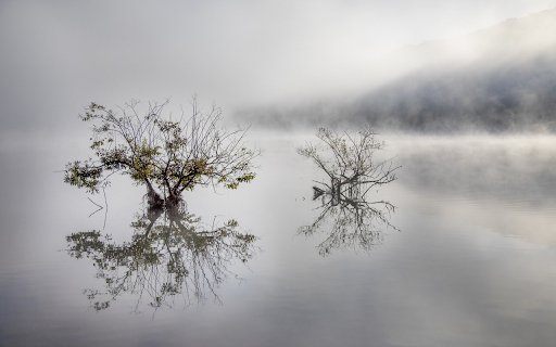 Lake mirage early morning from Chrome web store to be run with OffiDocs Chromium online Lake mirage early morning from Chrome web store to be run with OffiDocs Chromium online