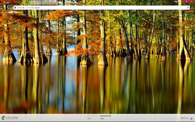 Chrome 网上商店的 Lake Reflection Scenic 将与 OffiDocs Chromium 在线运行