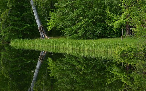 Lakeside trees  from Chrome web store to be run with OffiDocs Chromium online