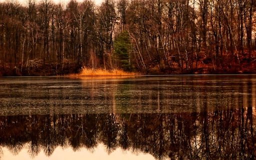 LAKE SURFACE Theme  from Chrome web store to be run with OffiDocs Chromium online