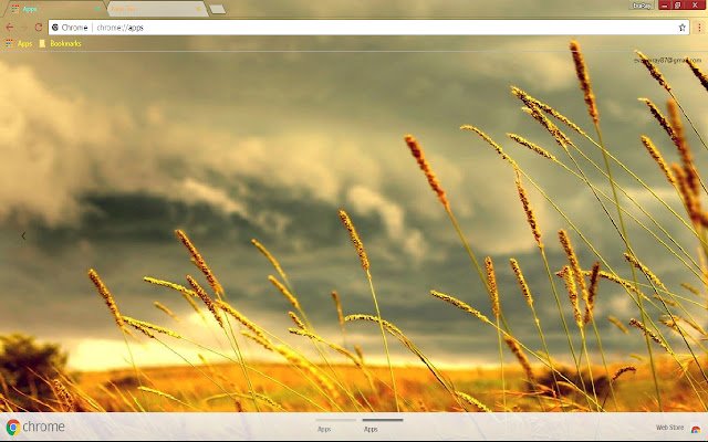 Landscape Nature Sky Sunset Wheat  from Chrome web store to be run with OffiDocs Chromium online