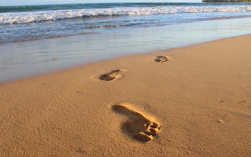 Large footprints in the sand  from Chrome web store to be run with OffiDocs Chromium online