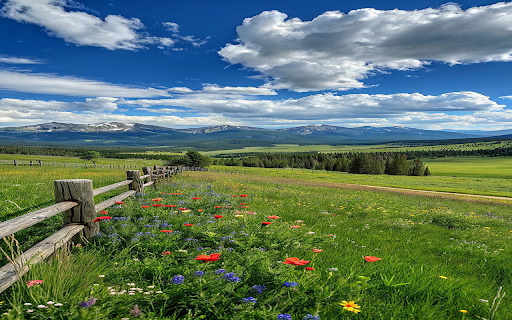 Large Nature Wallpaper  from Chrome web store to be run with OffiDocs Chromium online