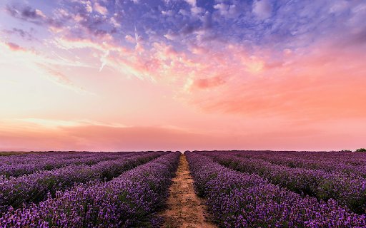 Lavender Sunset Dream  from Chrome web store to be run with OffiDocs Chromium online