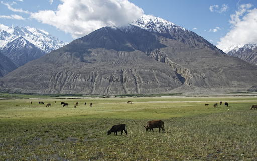 Lawn under the mountain  from Chrome web store to be run with OffiDocs Chromium online