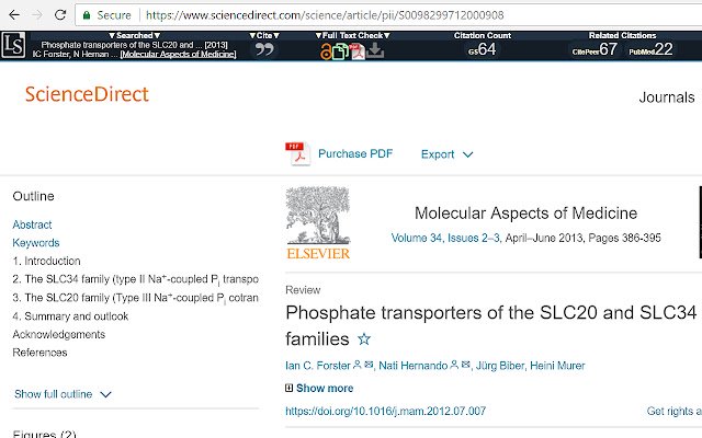 Lazy Scholar  from Chrome web store to be run with OffiDocs Chromium online