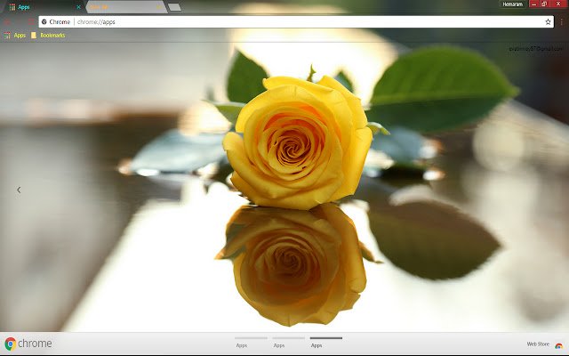 Leaf Reflection Rose Yellow Flower من متجر Chrome الإلكتروني ليتم تشغيله باستخدام OffiDocs Chromium عبر الإنترنت