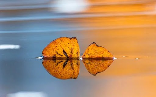 LEAF THEME  from Chrome web store to be run with OffiDocs Chromium online