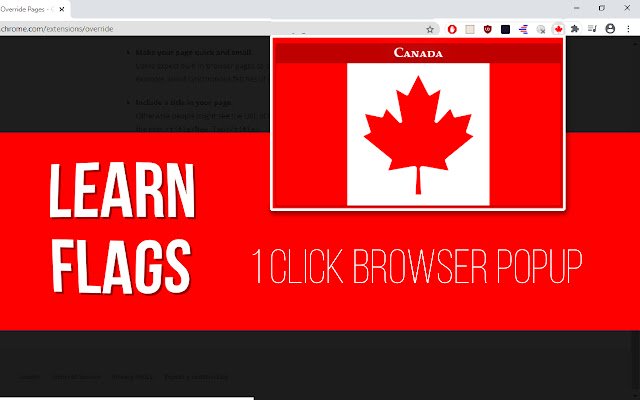 Leer vlaggen (pop-upspel) uit de Chrome-webwinkel om te worden uitgevoerd met OffiDocs Chromium online