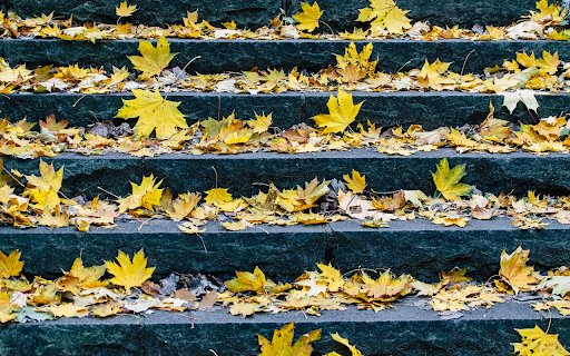 Leaves fall on the steps  from Chrome web store to be run with OffiDocs Chromium online