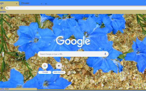 Lechenaultia  from Chrome web store to be run with OffiDocs Chromium online