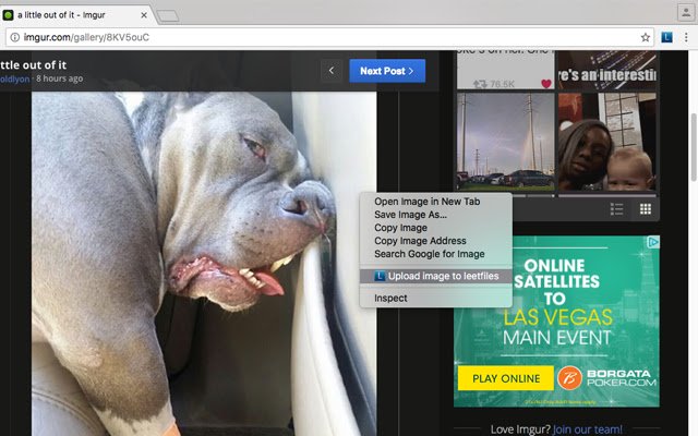 leetfiles mula sa Chrome web store na tatakbo sa OffiDocs Chromium online