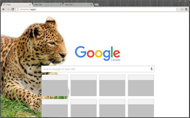 Tema Leopard dal negozio web di Chrome da eseguire con OffiDocs Chromium online