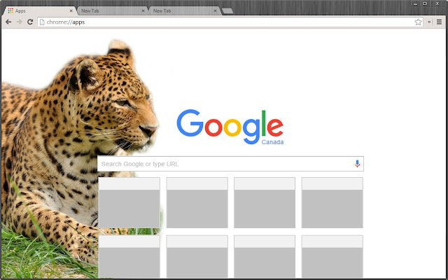 Chrome വെബ് സ്റ്റോറിൽ നിന്നുള്ള Leopard Theme OffiDocs Chromium ഓൺലൈനിൽ പ്രവർത്തിക്കും